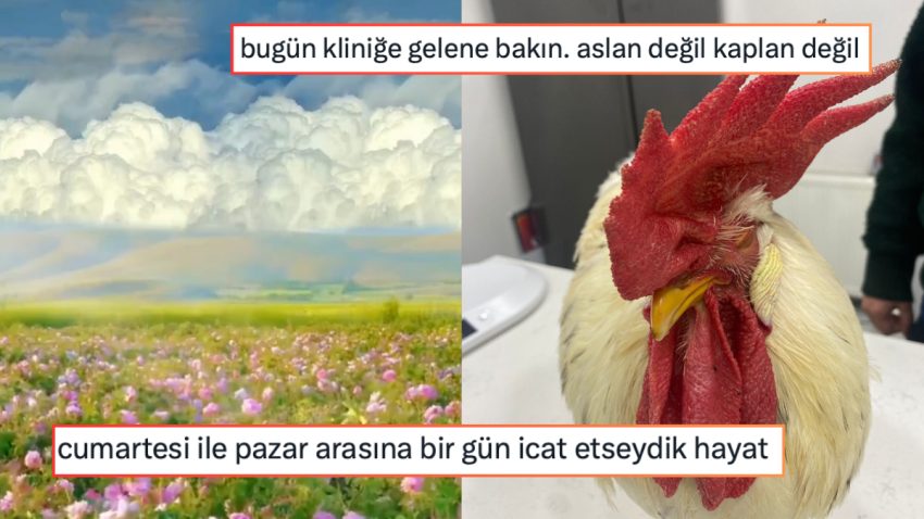 Cumartesi ve Pazar Ortasında Bir Gün Hayal Edenden  Düz Lise Sözüne Kırılana Son 24 Saatin Viral Tweetleri