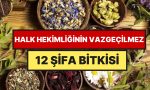 daglardan-toplaniyor-konutlarda-saklaniyor-anadolu-koylerinde-hala-kullanilan-12-sifa-bitkisi-u1lpeqjw.jpg