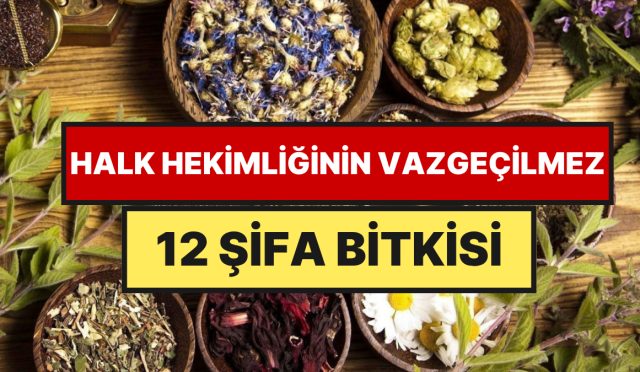 daglardan-toplaniyor-konutlarda-saklaniyor-anadolu-koylerinde-hala-kullanilan-12-sifa-bitkisi-u1lpeqjw.jpg