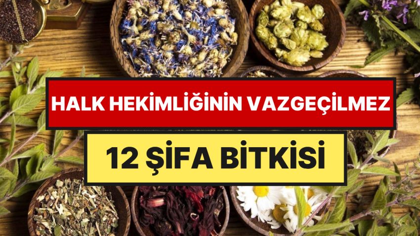 Dağlardan Toplanıyor, Konutlarda Saklanıyor: Anadolu Köylerinde Hala Kullanılan 12 Şifa Bitkisi