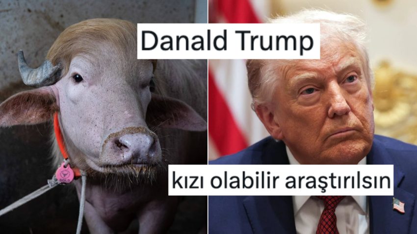 Donald Trump’a Benzeyen Kurbanlık Kesilmekten Kurtuldu