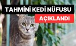 dunyadaki-iddiasi-kedi-sayisi-aciklandi-sayilari-dusundugumuzden-fazla-KtSl6b2e.jpg