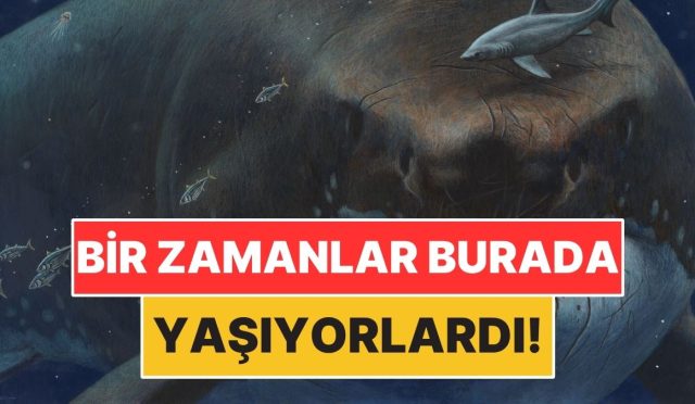 dunyanin-bir-vakitler-konut-sahipligi-yaptigi-5-urkutucu-canli-Ye2NArFP.jpg