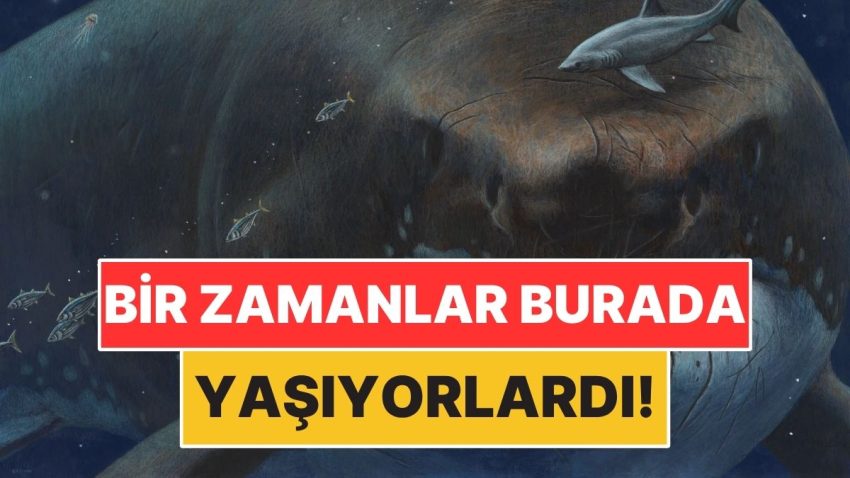 Dünyanın Bir Vakitler Konut Sahipliği Yaptığı 5 Ürkütücü Canlı