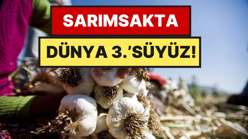 Dünyanın En Güzel 17 Sarımsağı Açıklandı: Türkiye Birinci 5’e Damga Vurdu