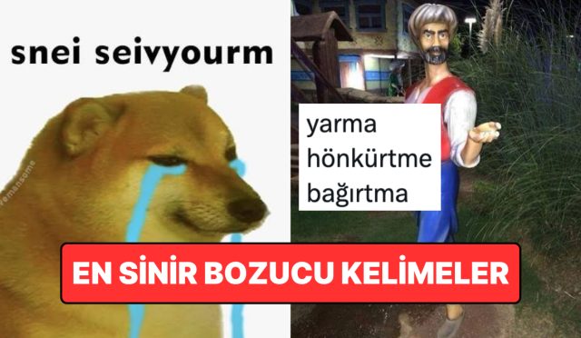 duyuldugunda-tuyleri-diken-diken-eden-hudut-bozucu-sozler-7lv1tH36.jpg