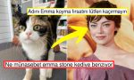 emma-stonea-birebir-benzeyen-yerli-ve-ulusal-kedimiz-xte-gundem-oldu-M4H8sQVA.jpg