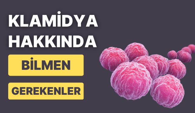 en-yaygin-cinsel-yolla-aktarilan-enfeksiyonlardan-biri-olan-klamidya-hakkinda-bilmeniz-gereken-9-sey-x6gay6yn.jpg