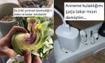 enginar-soymanin-zorluklarindan-enteresan-anne-hareketlerine-son-24-saatin-viral-tweetleri-3z49v2Xe.jpg