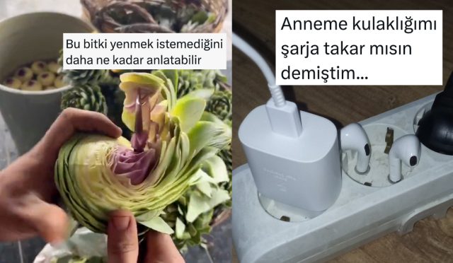 enginar-soymanin-zorluklarindan-enteresan-anne-hareketlerine-son-24-saatin-viral-tweetleri-3z49v2Xe.jpg
