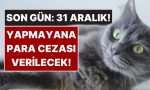 evcil-hayvan-sahipleri-dikkat-son-gun-31-aralik-yaptirmayana-para-cezasi-var-hTrldnLA.jpg