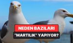flortte-marti-uzere-davranmak-ne-manaya-geliyor-TGDNOD9i.jpg