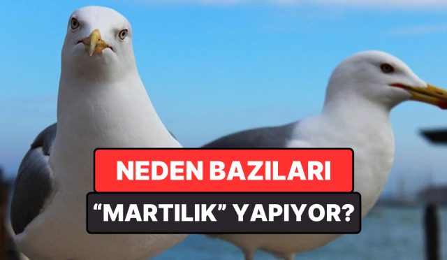 flortte-marti-uzere-davranmak-ne-manaya-geliyor-TGDNOD9i.jpg