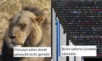 genetik-mirasin-ehemmiyetinden-bastaki-sekmelere-son-24-saatin-viral-tweetleri-d2qSe1dJ.jpg