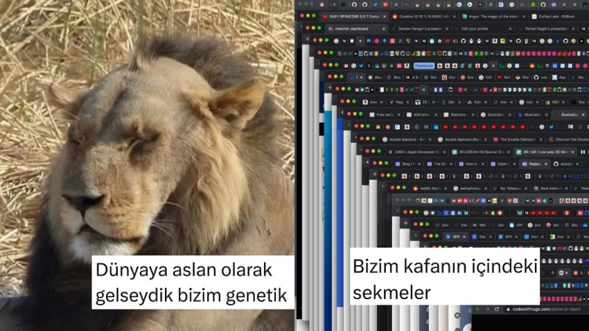 Genetik Mirasın Ehemmiyetinden Baştaki Sekmelere Son 24 Saatin Viral Tweetleri