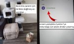 gonlu-bol-kediden-kritik-harf-yanlislarina-son-24-saatin-viral-tweetleri-epzbEea2.jpg