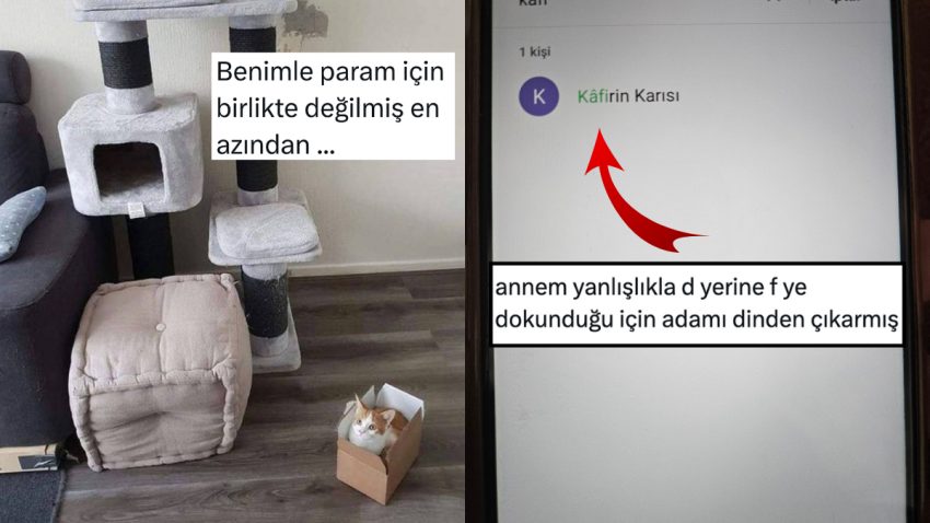 Gönlü Bol Kediden Kritik Harf Yanlışlarına Son 24 Saatin Viral Tweetleri