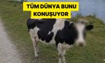 google-haritalarin-inegin-yuzunu-sansurlemesi-dunya-capinda-viral-oldu-KVuxWu2R.jpg