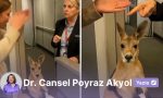 gozlerimize-bile-guvenemedigimiz-cag-yapay-zeka-dezenformasyonu-karsisinda-nasil-hayatta-kaliriz-u11WJQuz.jpg