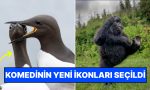 gulumse-cekiyorum-2025in-en-komik-hayvan-fotograflari-KOdiTYQr.jpg