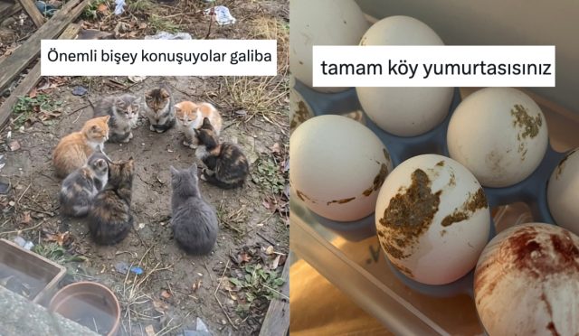 gunluk-hayatta-karsilastiklari-goruntulerden-mizah-cikaran-sahislar-7YuzLjtv.jpg