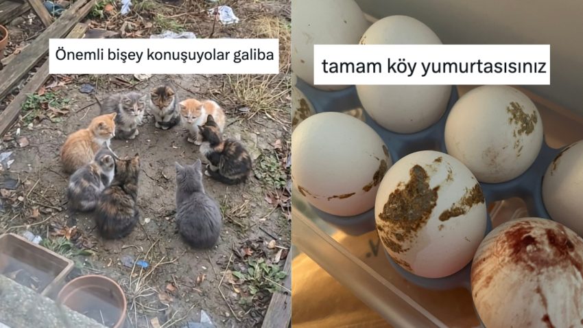 Günlük Hayatta Karşılaştıkları Görüntülerden Mizah Çıkaran Şahıslar