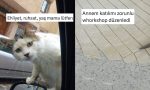 gunluk-hayatta-karsilastiklari-goruntulerden-mizah-cikaran-twitter-kullanicilari-8R3A5hiP.jpg