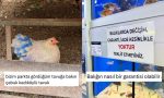 gunluk-hayatta-karsilastiklari-goruntulerden-mizah-cikaran-x-kullanicilari-NNWBXilE.jpg