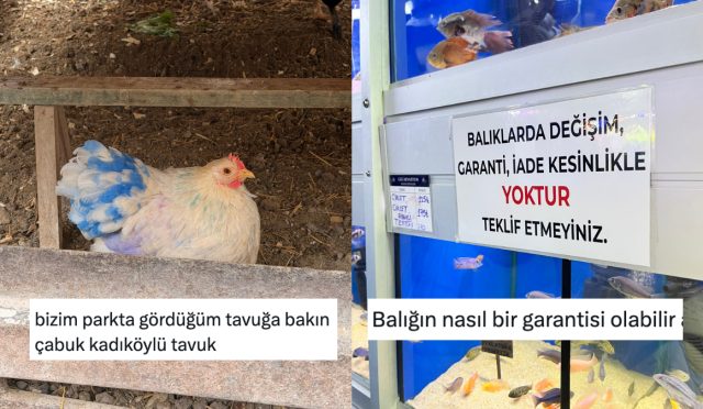 gunluk-hayatta-karsilastiklari-goruntulerden-mizah-cikaran-x-kullanicilari-NNWBXilE.jpg