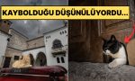 gunun-en-hos-haberi-topkapinin-kedi-kapisi-tekrar-hizmette-NYdnuk9f.jpg