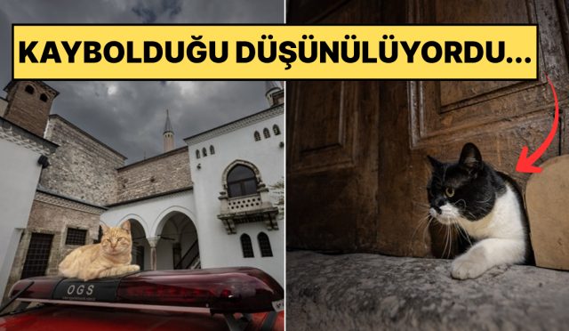 gunun-en-hos-haberi-topkapinin-kedi-kapisi-tekrar-hizmette-NYdnuk9f.jpg