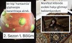 hantavirus-haberlerinden-manifestle-pisti-olanlara-son-24-saatin-viral-tweetleri-kULMbm4D.jpg