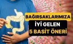 harvard-universitesi-tip-fakultesinden-bagirsak-sihhatini-duzeltmek-icin-5-kolay-oneri-mJp47GYL.jpg