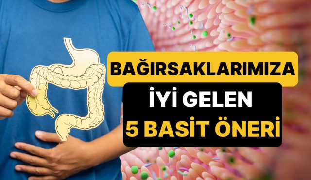 harvard-universitesi-tip-fakultesinden-bagirsak-sihhatini-duzeltmek-icin-5-kolay-oneri-mJp47GYL.jpg