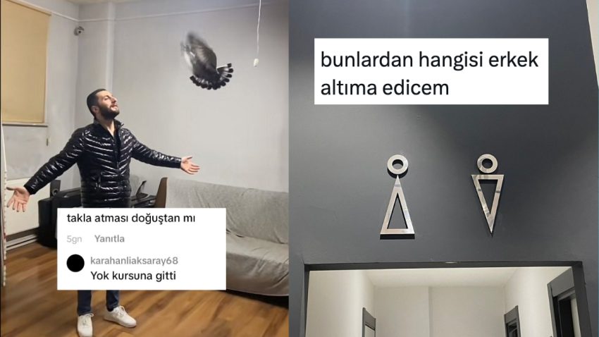 Hazırcevap Kuşçudan Yerlerin Tuvalet Tabelalarına Son 24 Saatin Viral Tweetleri