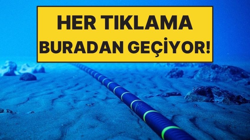 Her Gün Kullanıyoruz Ancak Altında Devasa Bir Deniz Ağı Var!