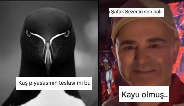 her-ne-yapiyorsaniz-birakip-okumaniz-gereken-haftanin-en-komik-tweetleri-jFKRWhH9.jpg