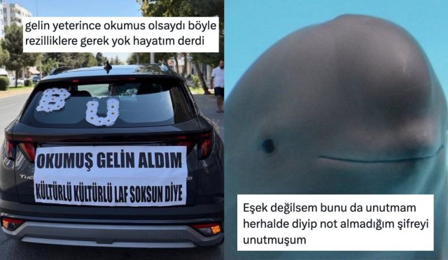 her-ne-yapiyorsaniz-birakip-okumaniz-gereken-haftanin-en-komik-tweetleri-vwAHhiVr.jpg