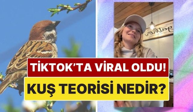 herkes-bunu-konusuyor-tiktokta-viral-olan-kus-teorisi-nedir-QM6HVW6B.jpg
