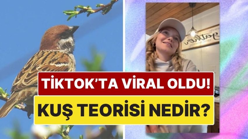 Herkes Bunu Konuşuyor: TikTok’ta Viral Olan “Kuş Teorisi” Nedir?