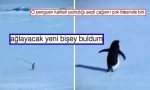 hic-dusunmeden-vefata-yuruyen-nihilist-penguen-size-de-bir-yerlerden-tanidik-gelecek-JEzhChCQ.jpg