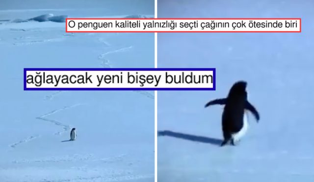 hic-dusunmeden-vefata-yuruyen-nihilist-penguen-size-de-bir-yerlerden-tanidik-gelecek-JEzhChCQ.jpg
