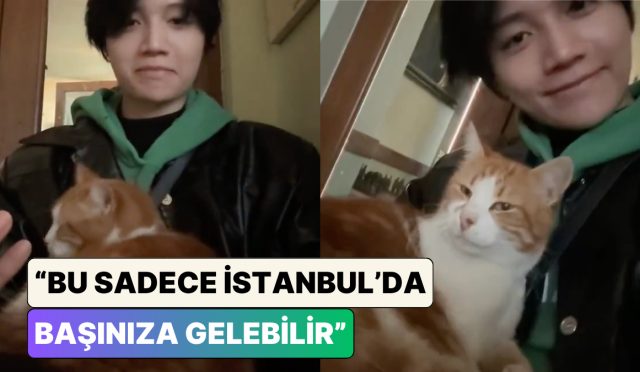 hong-konglu-muzisyen-kin-ryan-turkiyede-bir-kafede-otururken-bir-anda-kucagina-tirmanan-kediyi-2kuLjPGv.jpg
