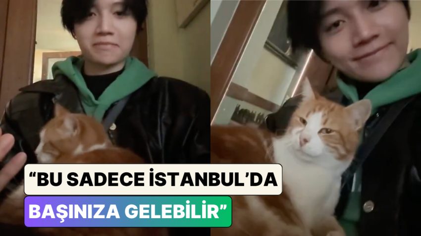 Hong Konglu Müzisyen Kin Ryan Türkiye’de Bir Kafede Otururken Bir Anda Kucağına Tırmanan Kediyi Paylaştı