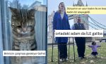 huzunlu-kedi-bakisindan-akil-dolu-yorumlara-son-24-saatin-viral-tweetleri-bj8RsAEG.jpg