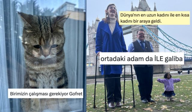 huzunlu-kedi-bakisindan-akil-dolu-yorumlara-son-24-saatin-viral-tweetleri-bj8RsAEG.jpg