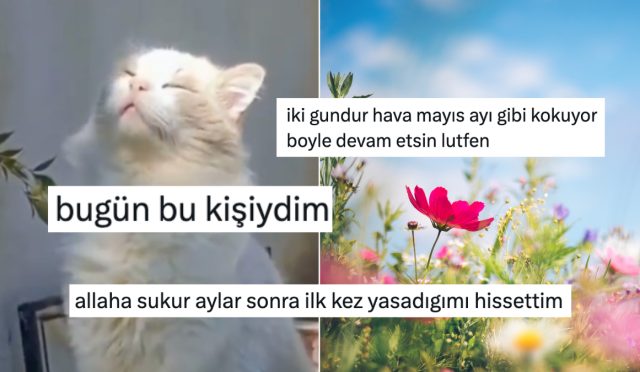 iki-gram-gunes-gorunce-memnunluktan-dort-kose-olan-x-ahalisi-QSRihmBJ.jpg