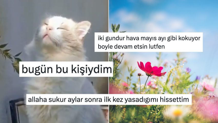 İki Gram Güneş Görünce Memnunluktan Dört Köşe Olan X Ahalisi