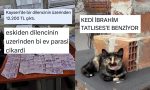 iktisadin-bitmesinden-unlu-gibisi-kedilere-son-24-saatin-viral-tweetleri-c3iZHw5j.jpg