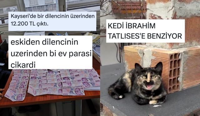 iktisadin-bitmesinden-unlu-gibisi-kedilere-son-24-saatin-viral-tweetleri-c3iZHw5j.jpg
